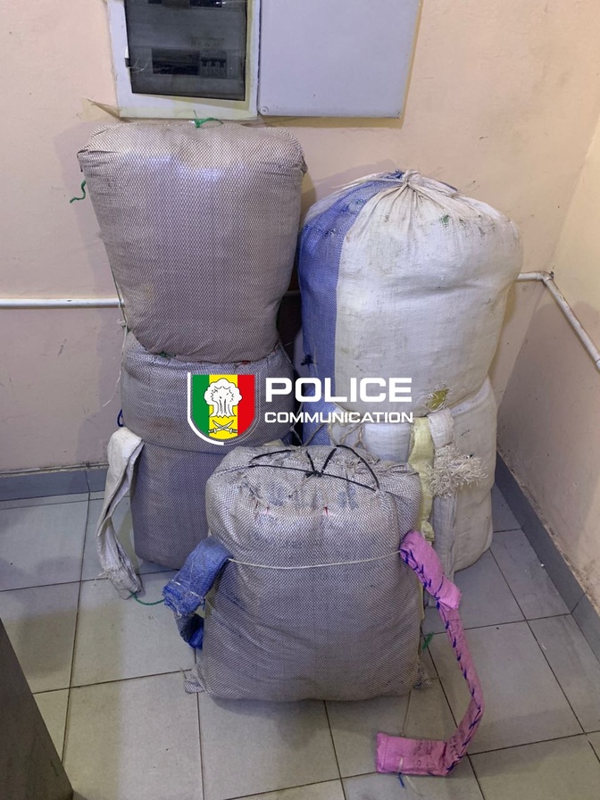 Lutte antidrogue : l’OCRTIS frappe fort dans le centre du Sénégal