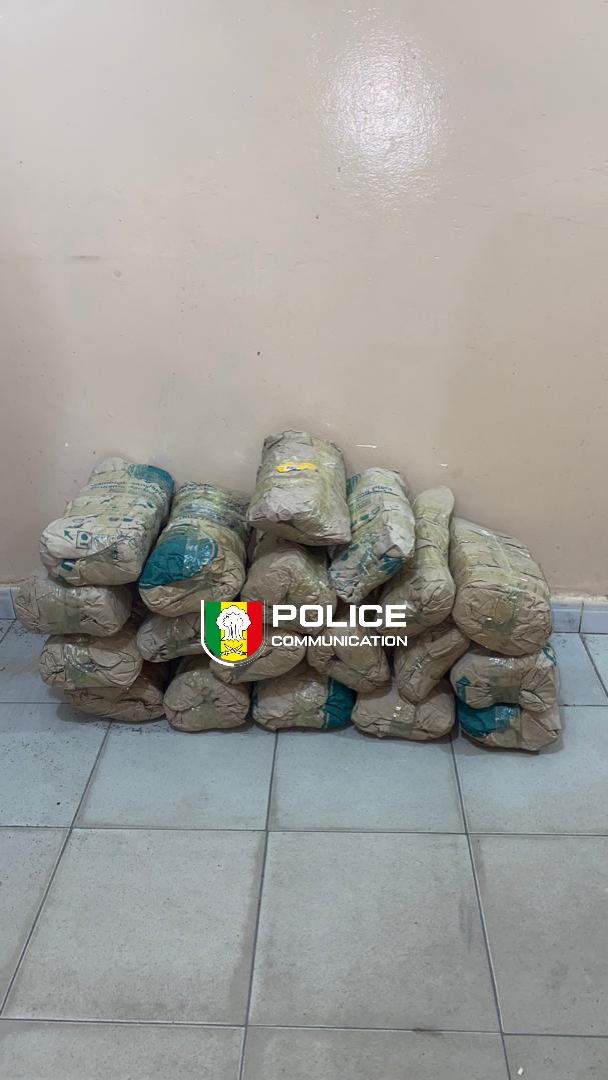 Lutte antidrogue : l’OCRTIS frappe fort dans le centre du Sénégal