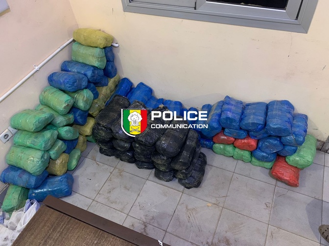Lutte antidrogue : l’OCRTIS frappe fort dans le centre du Sénégal