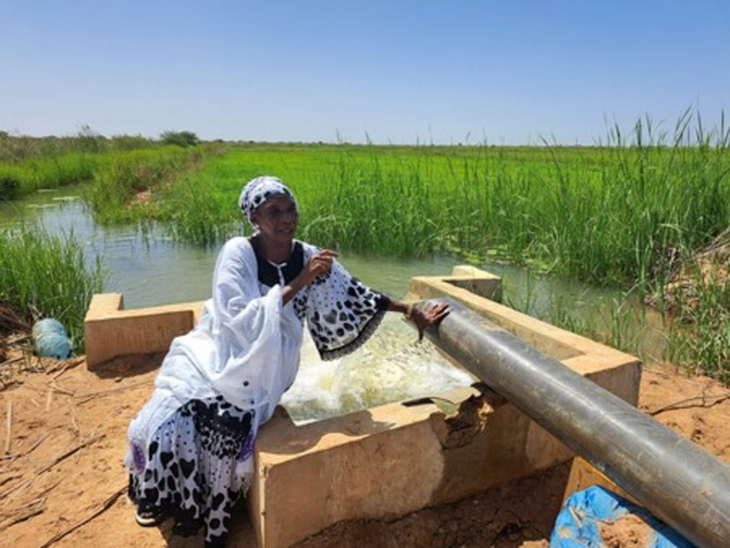 La FAO érige le Sénégal en modèle de gouvernance de l’eau pastorale