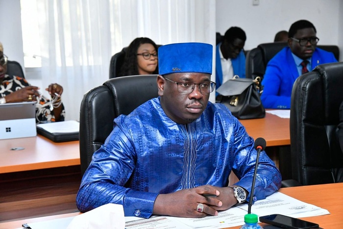 Énergie au Sénégal : un bilan positif, mais des défis persistants dans les mines