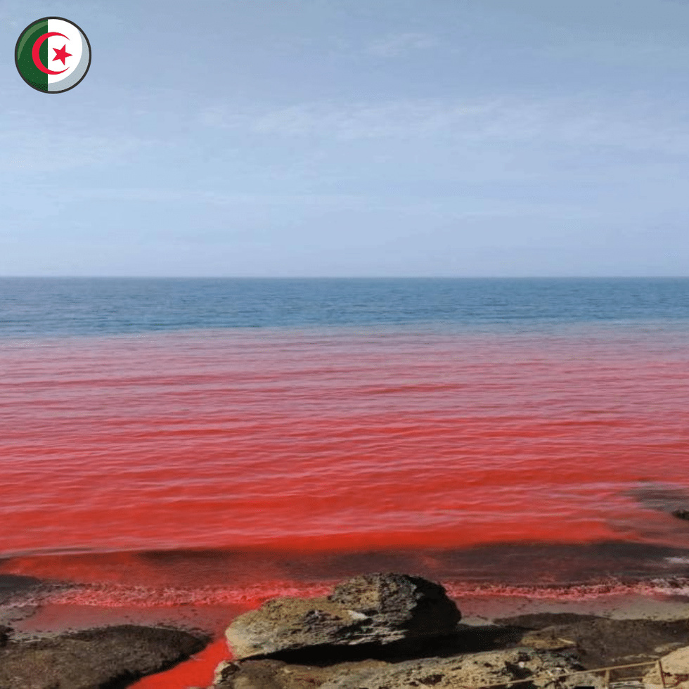 Algérie : mystère autour d’une plage dont les eaux ont viré au rouge à Ain Benian