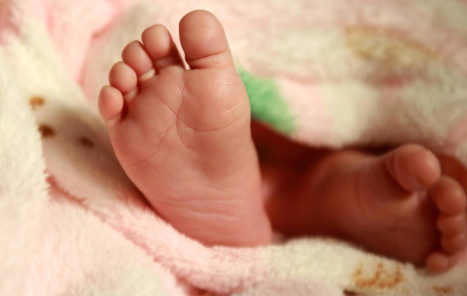 Saint-Louis : un bébé abandonné retrouvé vivant sous un arbre à Ngallèle