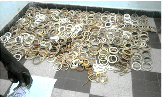 Lutte contre la criminalité faunique : Une saisie de 1081 pièces d’ivoire, de trophées de lion et de carapaces de tortues vertes effectuée à Ziguinchor