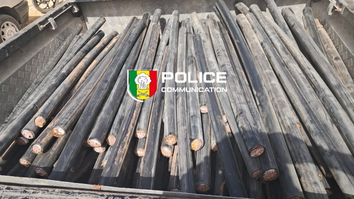Mbour : La police démantèle un gang de voleurs de câbles de télécommunications.