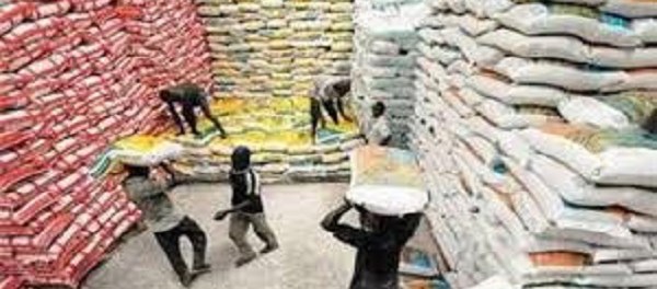 Importation : AfricaRice met en garde contre le riz importé