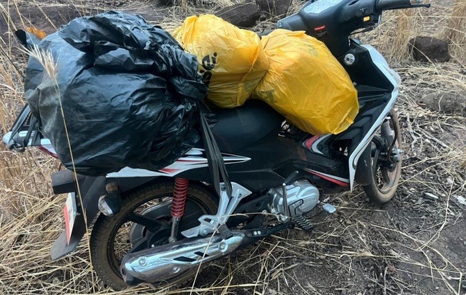 Kédougou : Plus de 30 kg de chanvre indien saisis à Bantaco, un trafiquant en fuite