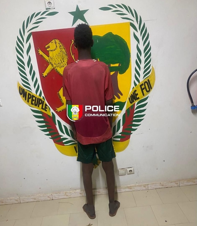 Coups et blessures mortels à Linguère : le suspect placé en garde à vue