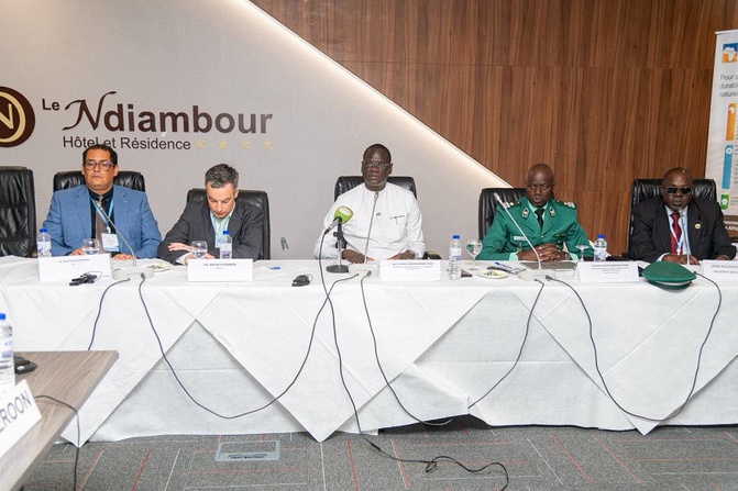 Lutte contre la désertification : Dakar accueille un atelier régional sur les rapports nationaux 2026 Lutte contre la désertification : Dakar accueille un atelier régional sur les rapports nationaux 2026