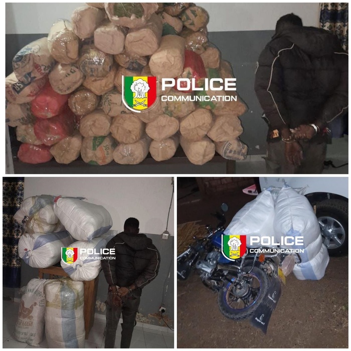 Trafic de drogue à Bounkiling : un suspect arrêté avec 114 kg de chanvre indien