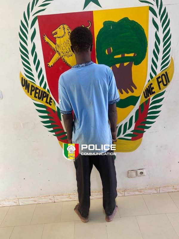 Linguère : un homme arrêté pour violences et attentat à la pudeur sur une fillette de 11 ans