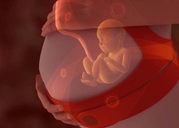 Naissance d'un bébé dont la mère était en état de mort cérébrale !