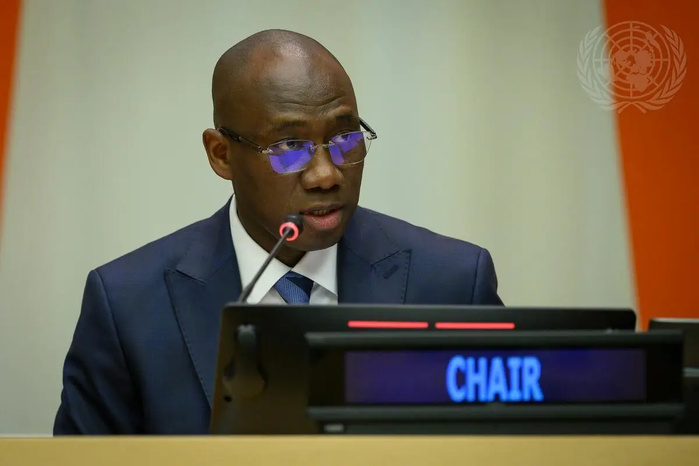 ONU : le Sénégalais Coly Seck élu président de la Quatrième Commission de l’Assemblée générale