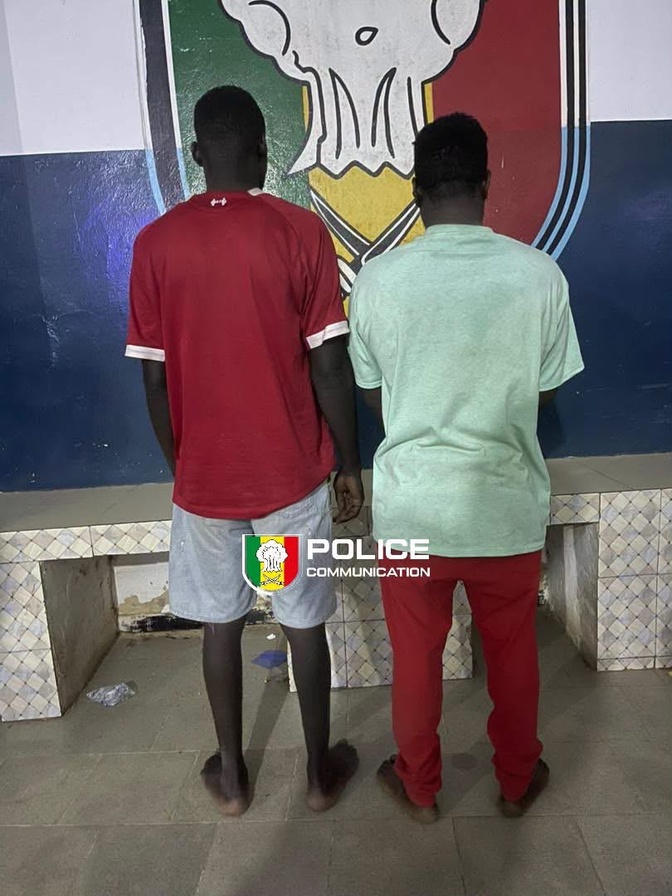 Vol de bétail à Ndamatou : deux individus interpellés, une brebis récupérée