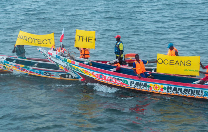 Protection des océans : le Sénégal franchit une nouvelle étape vers la ratification du traité sur la haute mer