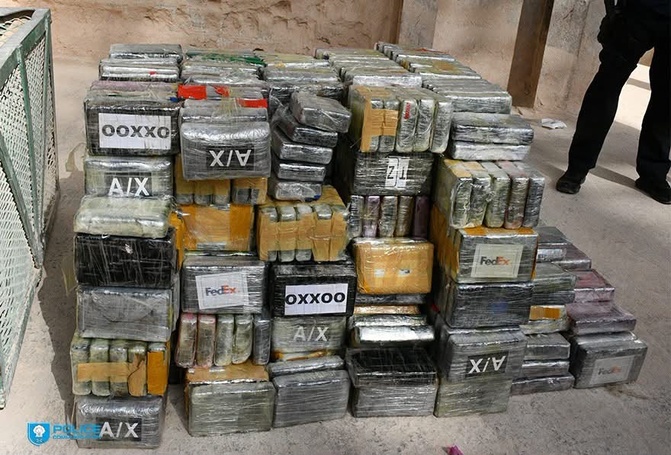 Cocaïne, chanvre indien, ecstasy… les autorités détruisent un impressionnant stock de drogues