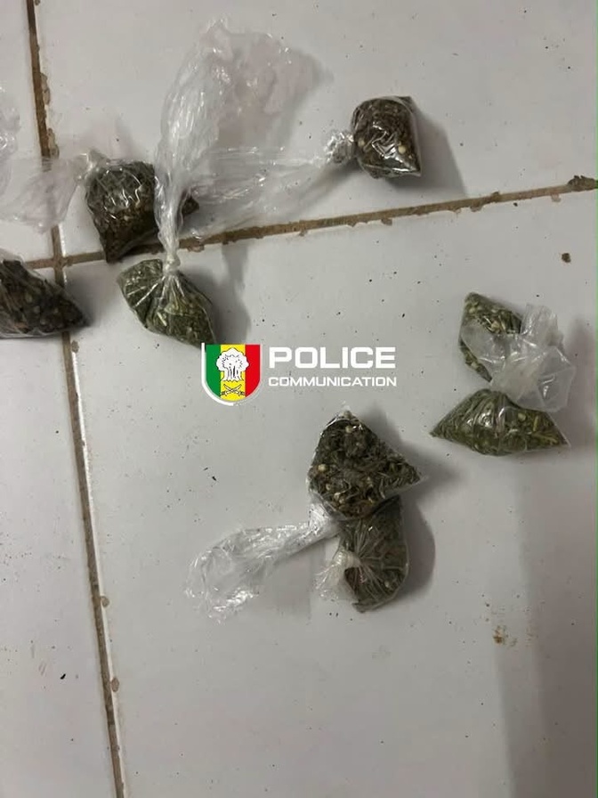 Cocaïne, chanvre indien, ecstasy… les autorités détruisent un impressionnant stock de drogues