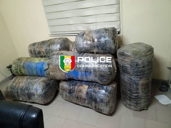 Guéréo : la Police saisit près de 245 kg de chanvre indien