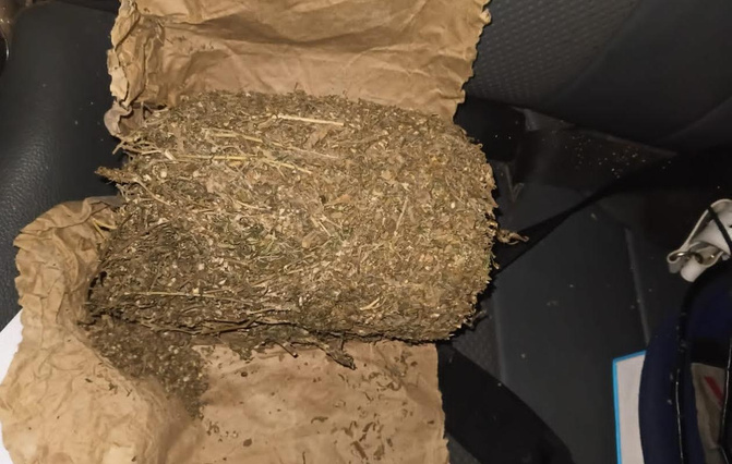 Kaolack : la gendarmerie saisit 6 kg de chanvre indien et interpelle un suspect à Darou Salam