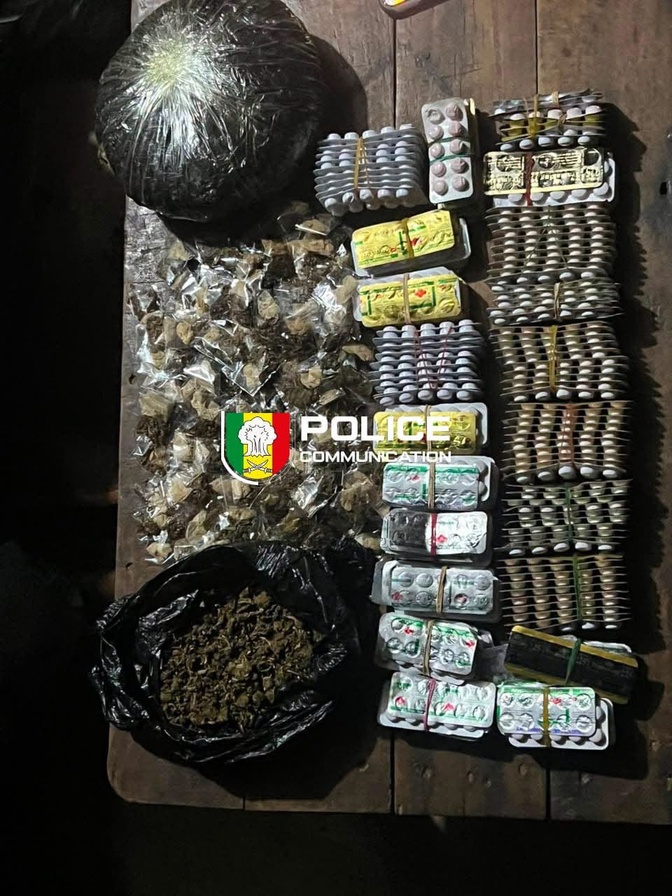 Coup de filet à Kédougou : plus de 2 000 comprimés de Tramadol et du Kush saisis