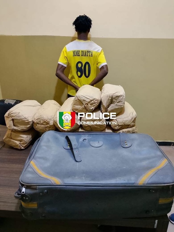 Ziguinchor : un individu arrêté avec 12 kg de chanvre indien
