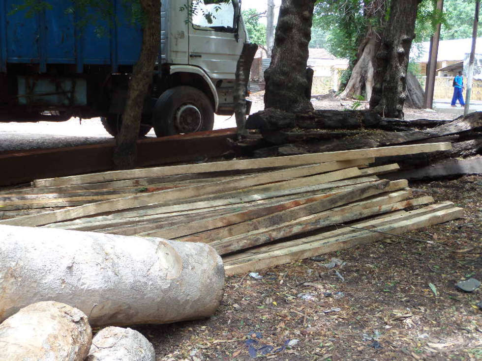 Voici les camions des traficants gambiens saisis par les agents des eaux et forêts de Bignona