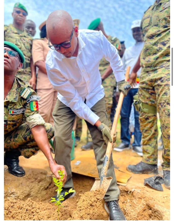Journée de l'Arbre à Tambacounda : le Ministre Alpha Thiam sonne la révolte contre le « massacre » de nos forêts !