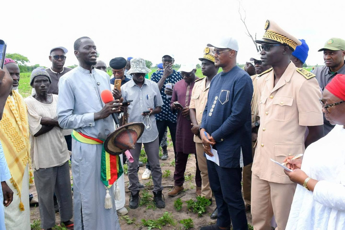 Campagne agricole 2026 : la tournée de Cheikhou Oumar Bâ en Casamance s’achève sur des signaux encourageants
