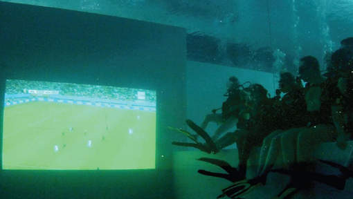 Et si vous regardiez le match des Diables... sous l'eau?