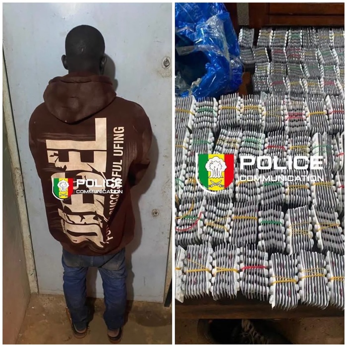 Kédougou : la BRS saisit 11 500 comprimés de Tramadol et interpelle un suspect