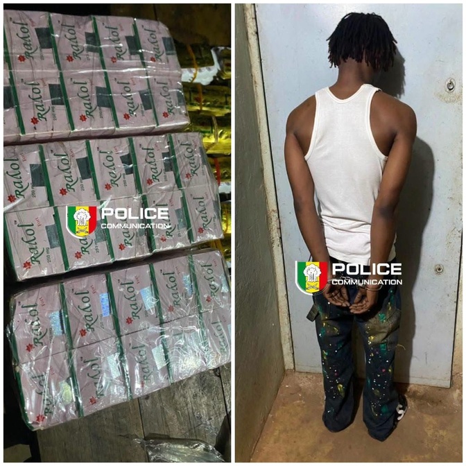 Kédougou : 4 300 comprimés de Tapentadol « Royal » saisis, un suspect arrêté
