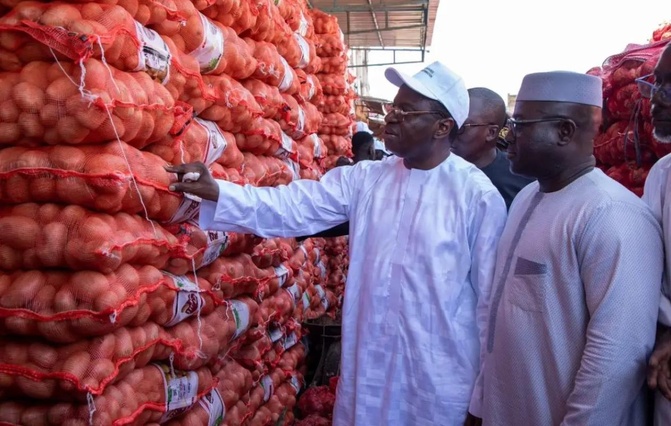 Oignon : le Sénégal rouvre ses portes aux importations après plusieurs mois de gel