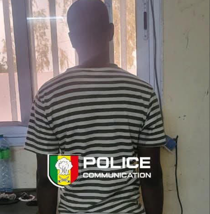 Kaolack : un individu interpellé pour escroquerie estimée à plus de 114 millions de FCFA