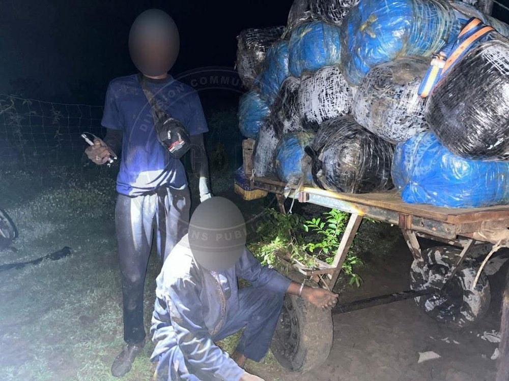 427 kg de chanvre indien saisis : un débarquement clandestin déjoué à Mbodiène