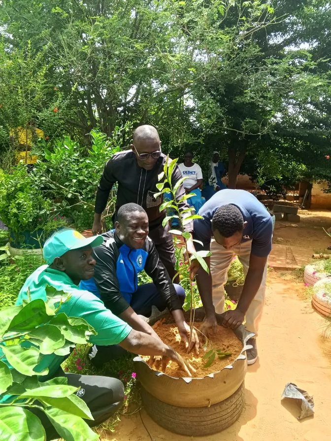 Linguère : plus de 700 plants mis en terre par le mouvement Conceid
