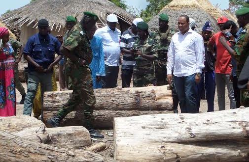 Le ministère de l’environnement du Sénégal : une institution en hibernation (Par Dr Ousmane Aly Pame)