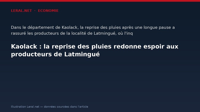 Kaolack : la reprise des pluies redonne espoir aux producteurs de Latmingué
