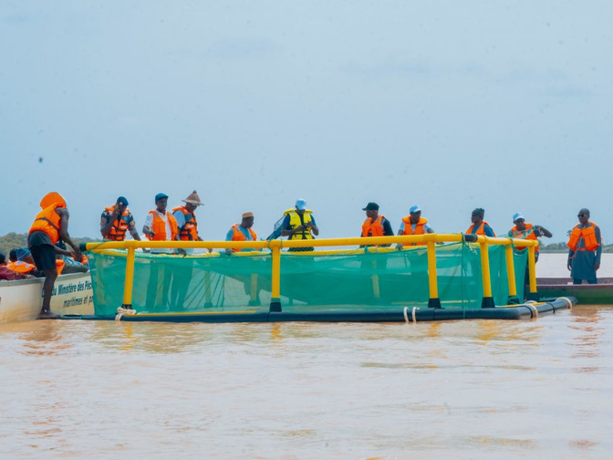 Le MPEM évoque les plans d'action des associations aquacoles régionales dans le cadre du programme SENRM