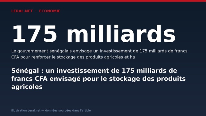 Sénégal : un investissement de 175 milliards de francs CFA envisagé pour le stockage des produits agricoles