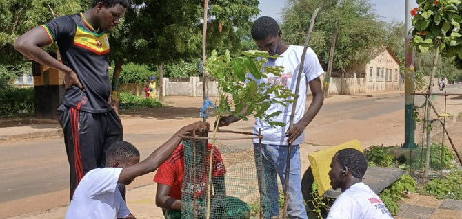 Touba : les jeunes de Kiiraay plantent 150 arbres dans les écoles et espaces publics