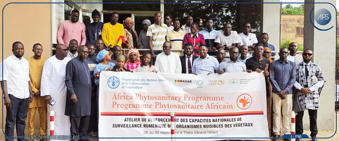 La DPV renforce ses capacités en matière de surveillance numérique des organismes nuisibles aux végétaux