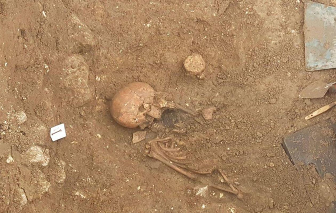 Ossements retrouvés près du palais : le médecin légiste privilégie une mort naturelle