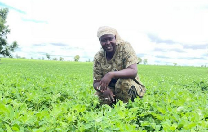 Amy Ndiaye 'Gniby' : de l'hémicycle aux champs du Ndoucoumane