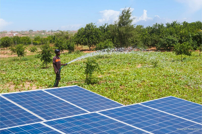 Energie solaire au Sénégal : les agriculteurs du Walo toujours otages du gasoil