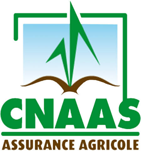 Foundiougne : l'Udam et la Cnaas unissent leurs forces pour protéger les acteurs agricoles