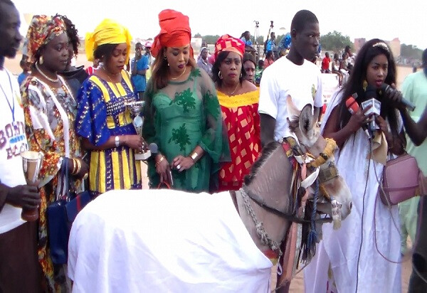 Journée mondiale des animaux : Louga célèbre le cheval, l'âne et le mulet