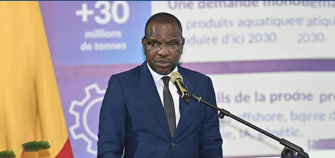 Aquaculture : le Sénégal a produit plus de 2000 tonnes en 2024, selon le ministère