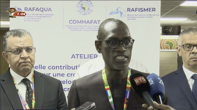 Aquaculture : l'Afrique veut miser sur la croissance bleue