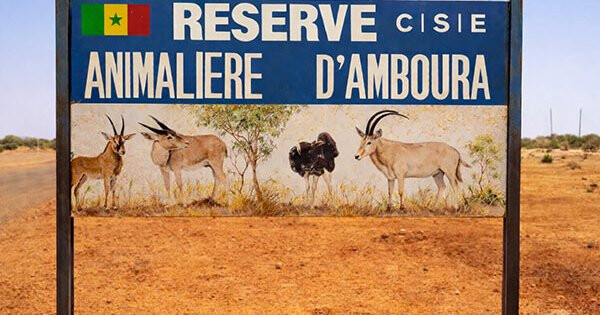 Podor : la réserve d'Amboura, un pari réussi pour la faune sahélienne