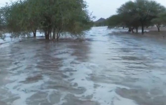 Météo au Sénégal : des pluies et des orages annoncés dans plusieurs régions